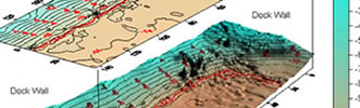Ports surveys