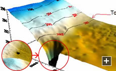 3D image rendering from sonar data